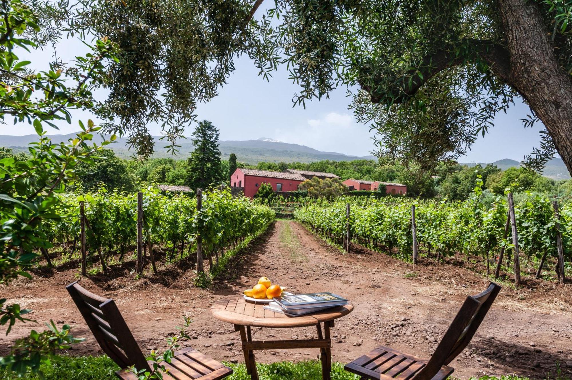 Terrazze Dell'Etna - Country Rooms And Apartments Randazzo Exterior photo